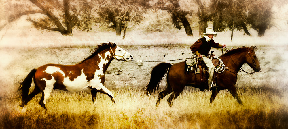 Rick Meoli Photography