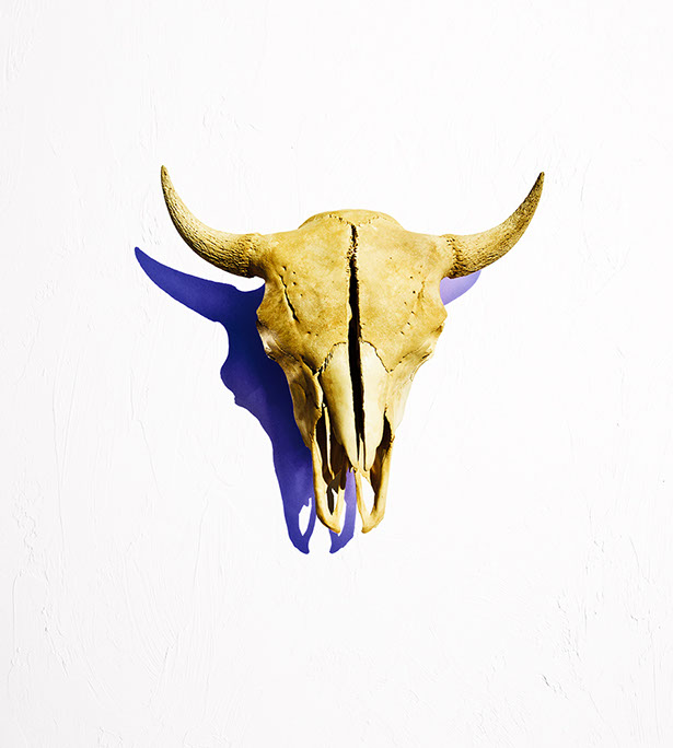 Rick Meoli Photography