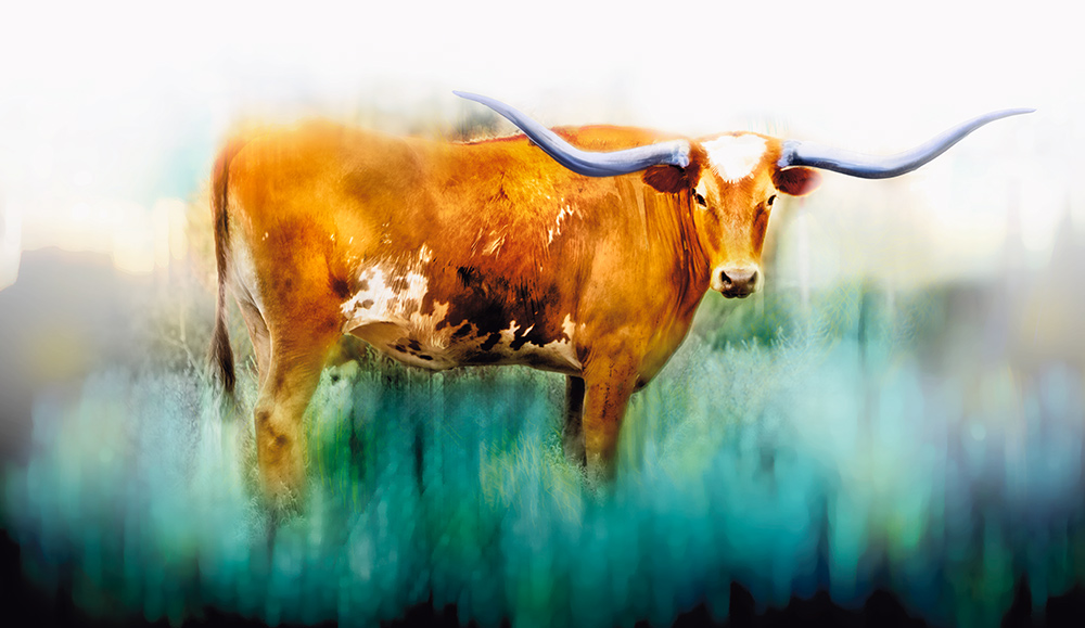 Rick Meoli Contemporary Photography