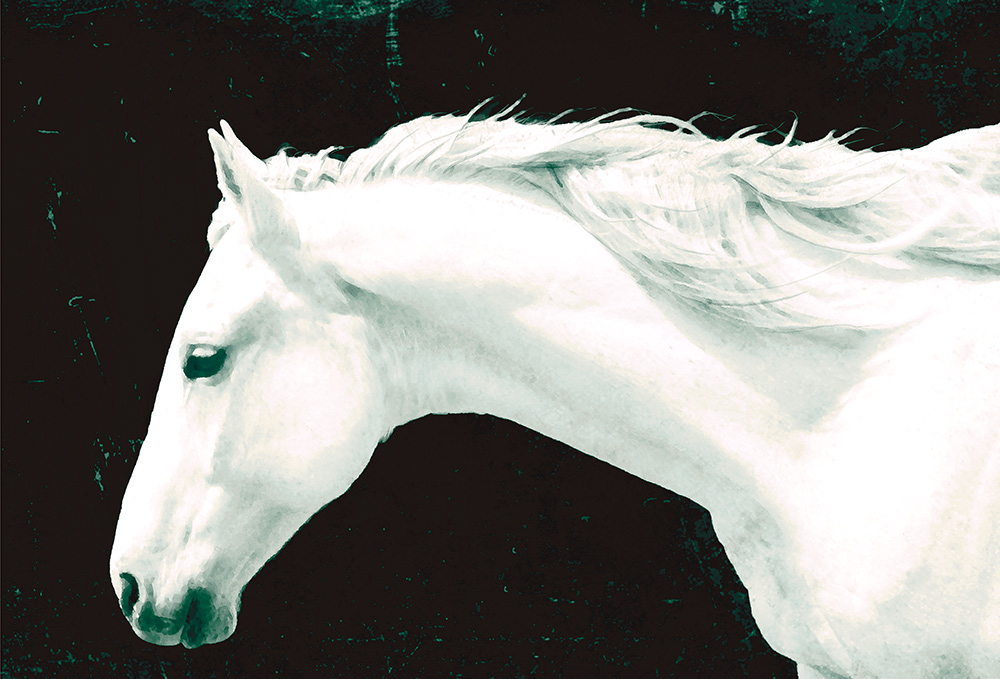 Rick Meoli Contemporary Photography