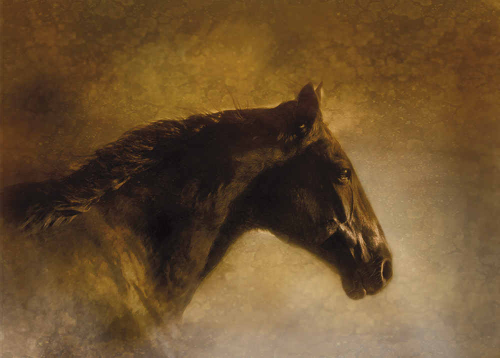 Rick Meoli Contemporary Photography