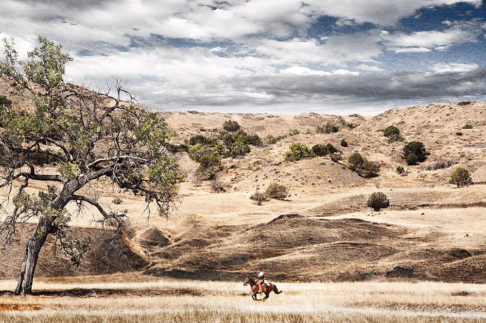 Rick Meoli Contemporary Photography