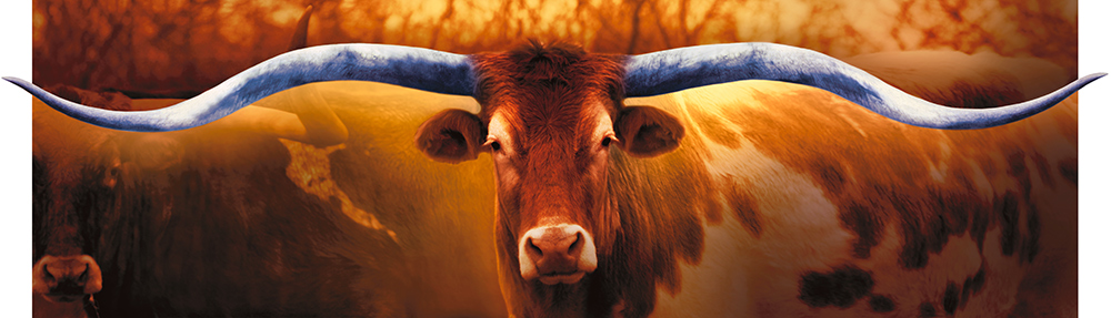 Rick Meoli Contemporary Photography: Meoli Out West