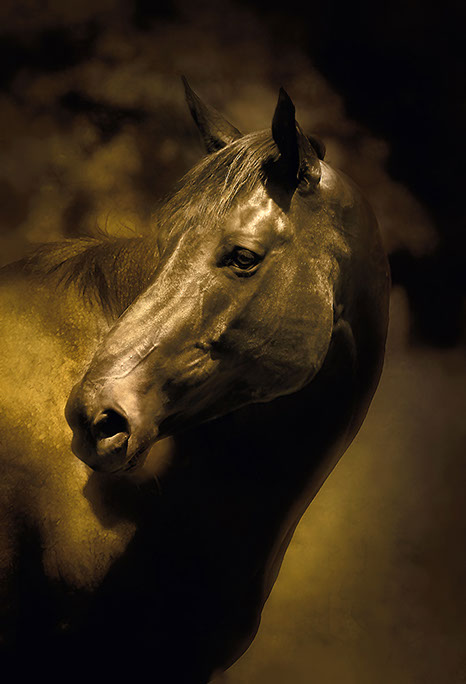 Rick Meoli Contemporary Photography: Meoli Out West