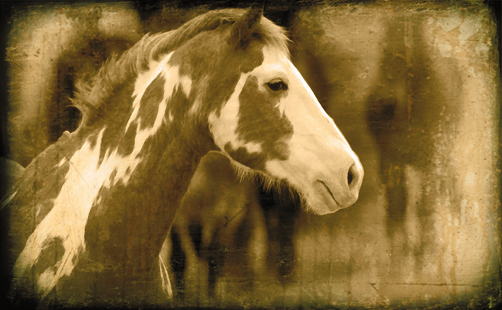 Rick Meoli Contemporary Photography: meolioutwest