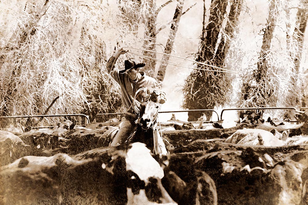 Rick Meoli Contemporary Photography: meolioutwest