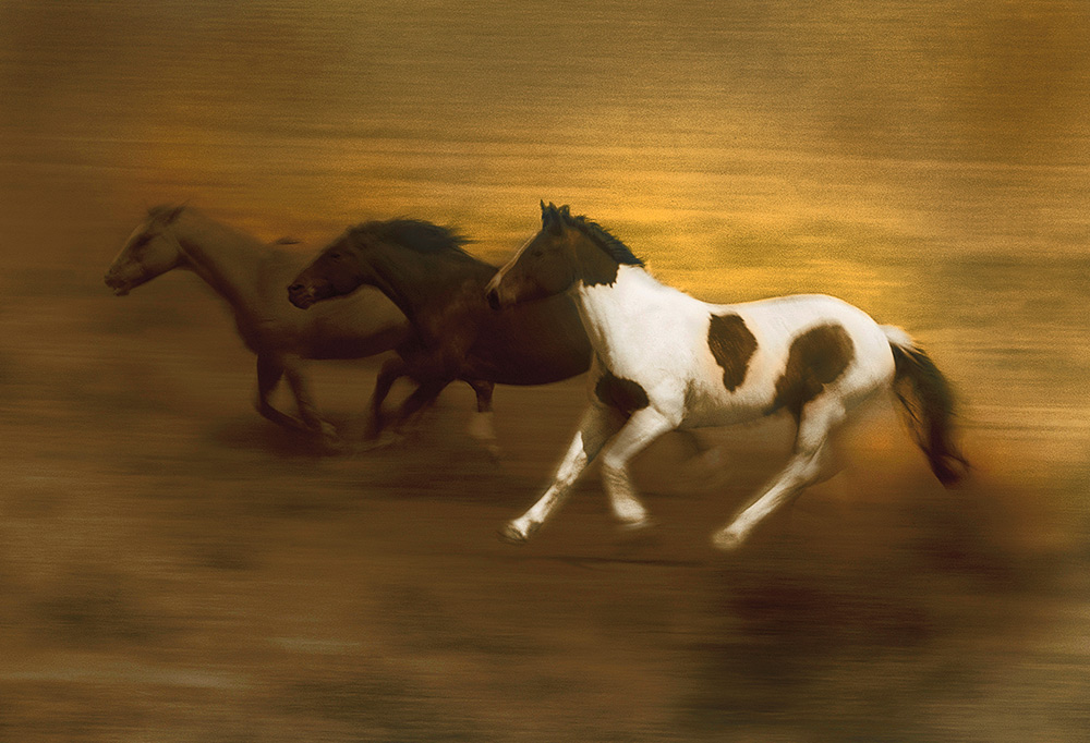 Rick Meoli Contemporary Photography: meolioutwest