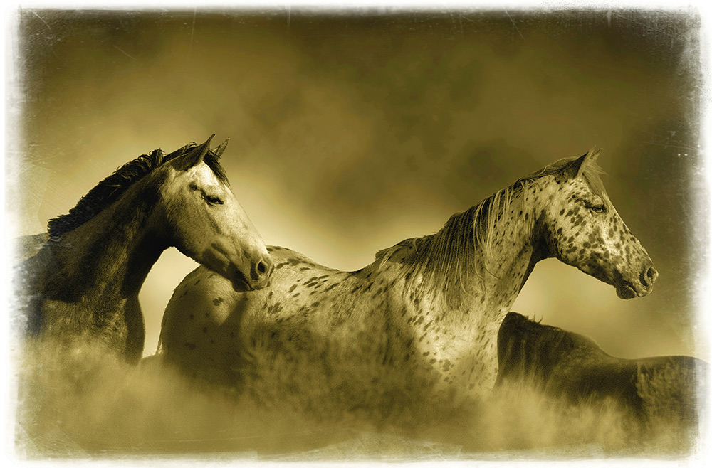 Rick Meoli Contemporary Photography: meolioutwest