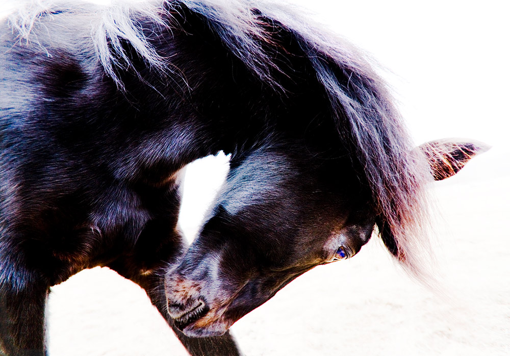 Rick Meoli Contemporary Photography: meolioutwest