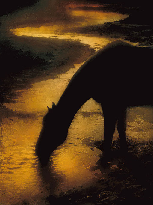 Rick Meoli Contemporary Photography: meolioutwest