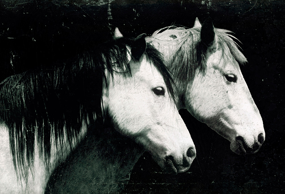 Rick Meoli Contemporary Photography: meolioutwest