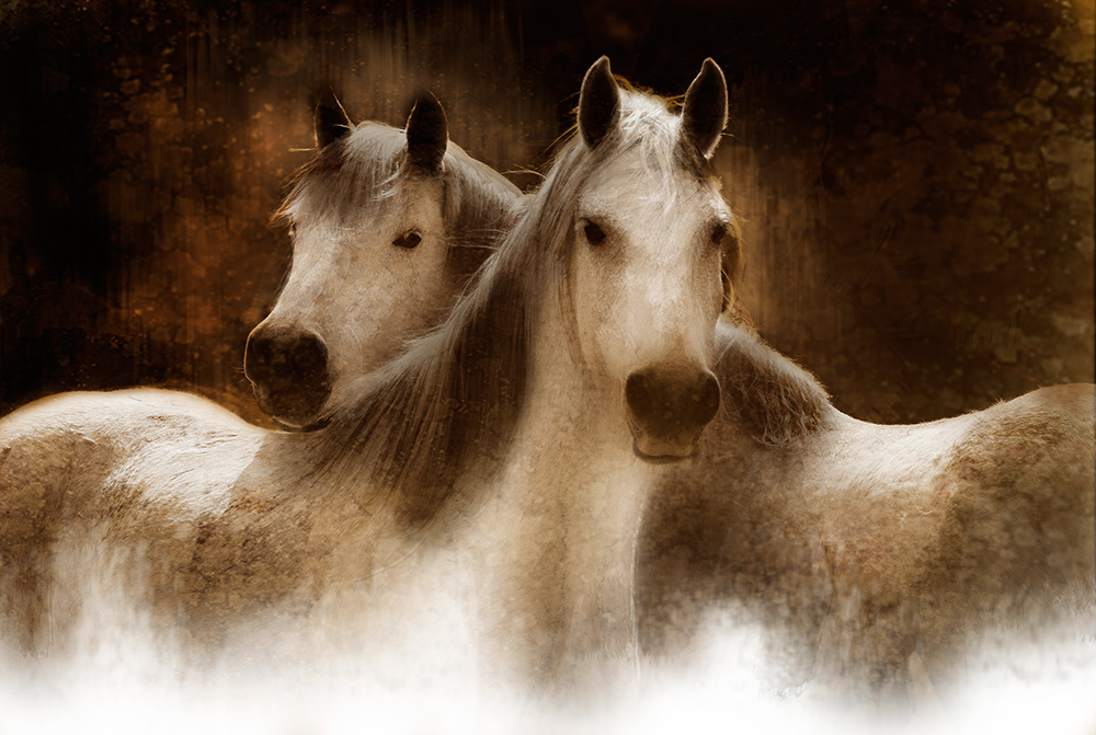 Rick Meoli Contemporary Photography: meolioutwest