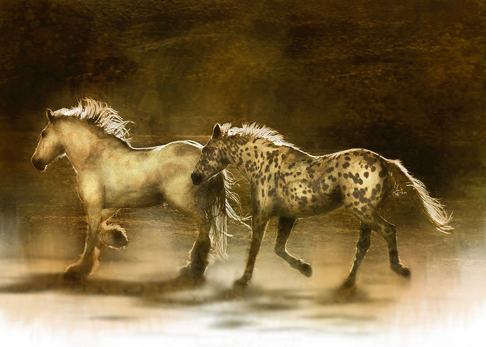 Rick Meoli Contemporary Photography: meolioutwest