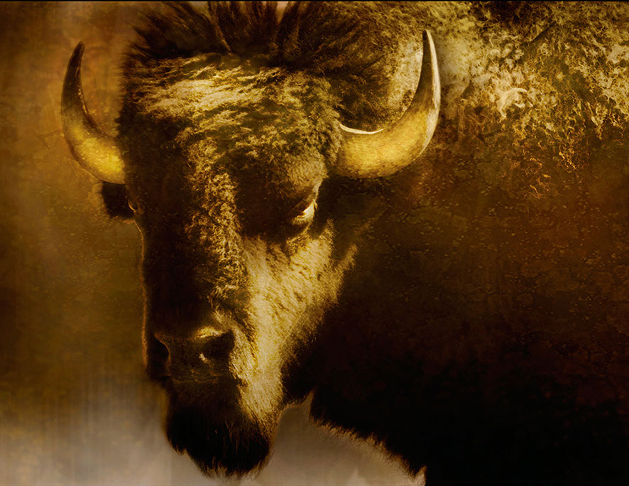 Rick Meoli Contemporary Photography: meolioutwest