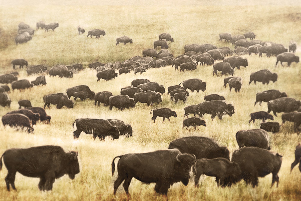 Rick Meoli Contemporary Photography: meolioutwest